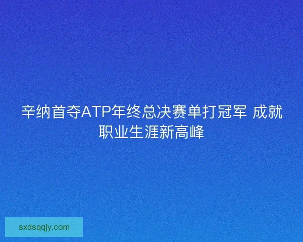 辛纳首夺ATP年终总决赛单打冠军 成就职业生涯新高峰